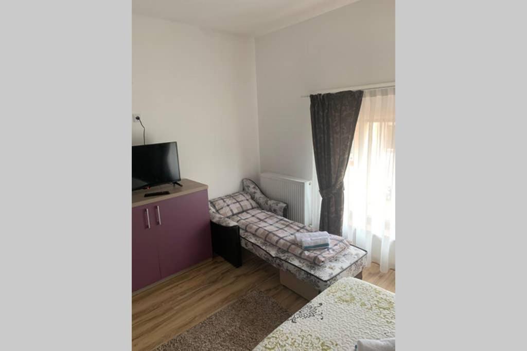 Dana Guest House Oradea Exterior photo